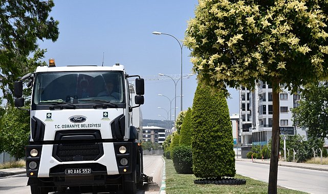Sokakların gizli kahramanları Kurban Bayramı'nda sahada