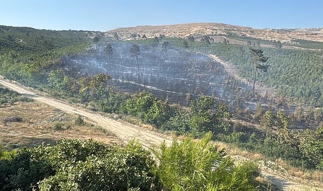 Soma'daki orman yangınları kontrol altına alındı