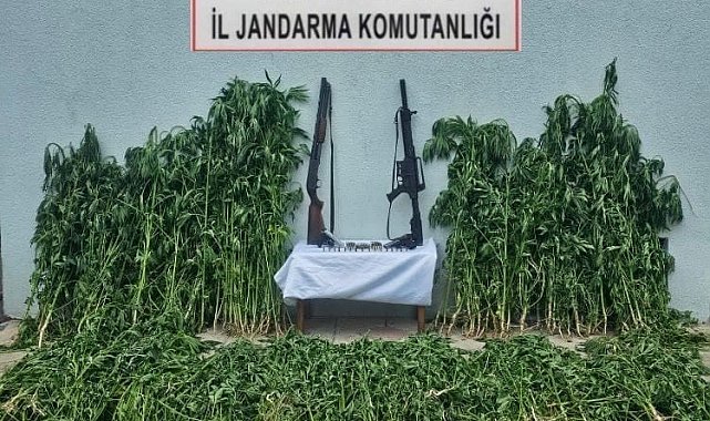 Tekirdağ'da jandarmadan uyuşturucu ve silah operasyonu