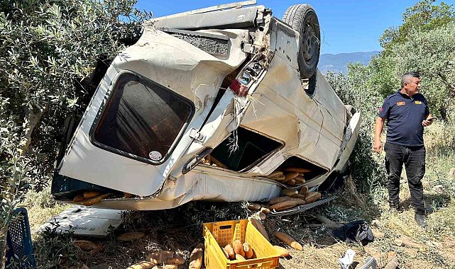 Ticari araç zeytinliğe uçtu: 1 ölü