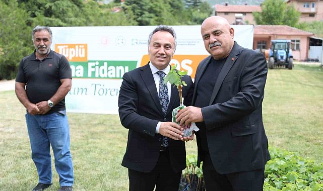 TOGÜ tüplü asma fidanlarını üreticiyle buluşturdu