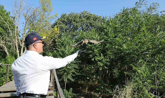 Vali Toraman sağlığına kavuşan kuşları doğal ortamına saldı