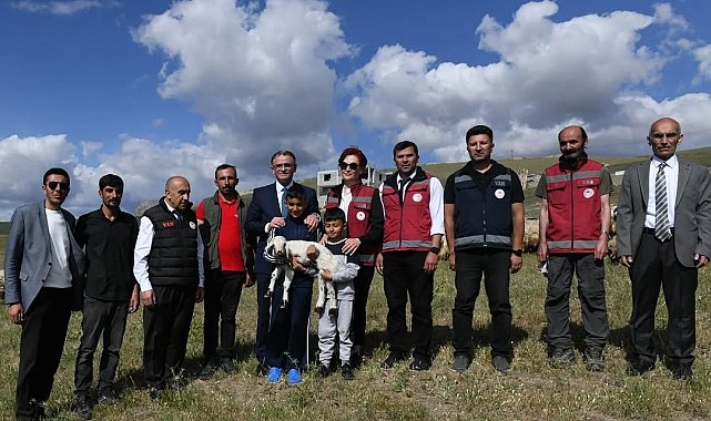 Van'da 3 yılda 2 bin 375 çiftçiye 235 bin koyun desteği verildi