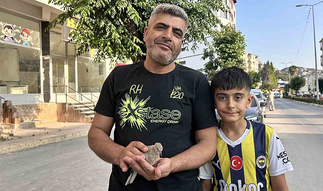 Yavru kumruyu kurtarmak için seferber oldu