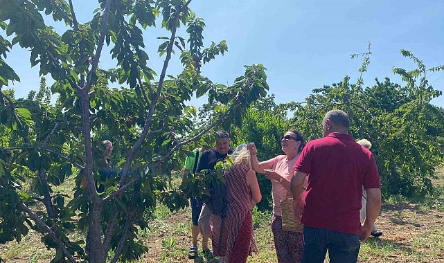 Yeşilçam Yıldızı Savaş'tan nostaljik ziyaret: Geleneksel kıyafetiyle kiraz topladı