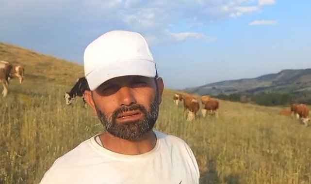 Yozgat'ta keneler görülmeye devam ediyor