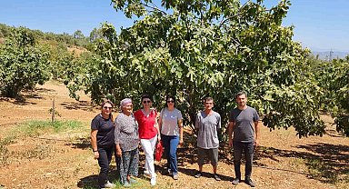 AYTO'dan Aydın inciri için 'Coğrafi İşaret' denetimi