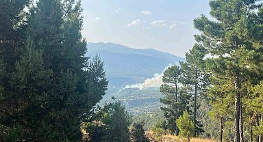 Denizli'de sarp bölgede devam eden yangına müdahale ediliyor