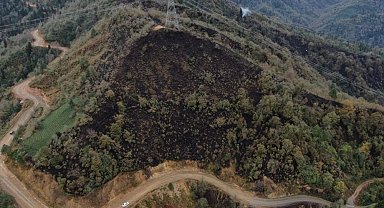 Doç. Dr. Kadir Alperen Coşkuner, "Doğu Karadeniz çok yağış alır, bu nedenle yangın olmaz şeklinde bir inanış vardır ancak bu doğru değildir"