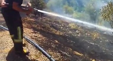 Elazığ'da bahçe yangını söndürüldü