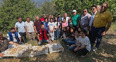 Köşk'te gönüllü hasat şenliği gerçekleştirildi