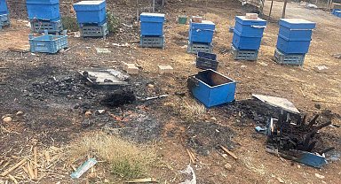 Milyonlarcası ateşe uçtu bir daha geri dönmedi