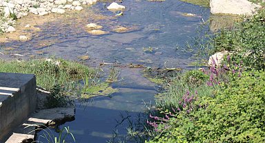 Mudurnu Deresi'ni kirleten firmanın faaliyeti durduruldu