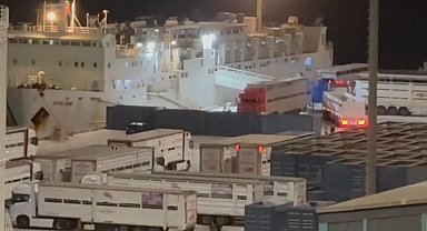 "Yüzen Ahır" yine Bandırma'da: Çelebi Limanı'na tepkiler büyüyor