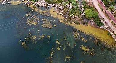 Seyhan Nehri yosun akınına uğradı, çöplerle doldu