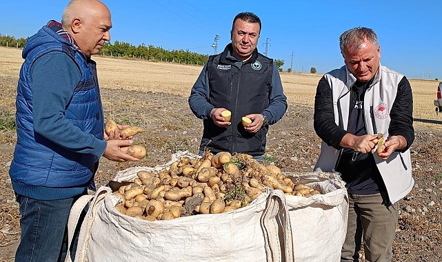 Beyşehir'de patates üreticisinin artan üretimle yüzü güldü