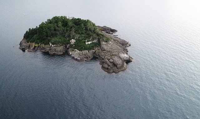 Giresun Adası'na 32 milyonluk makyaj