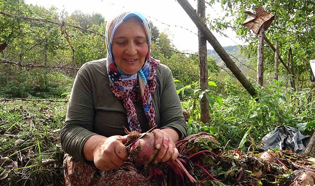 Giresun'da kadınlar geleneksel yöntemlerle kışlık yiyeceklerini hazırlıyor