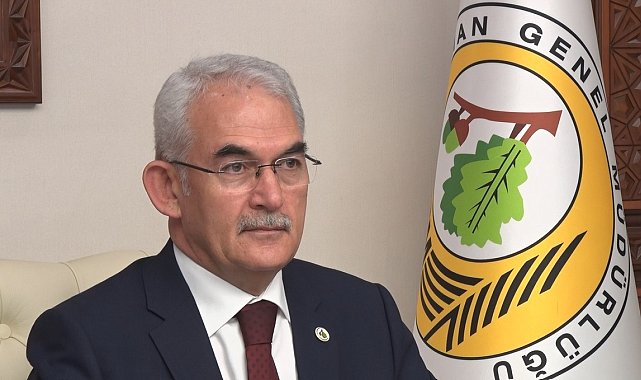 Orman yangınlarıyla mücadelede küresel strateji Türkiye'den çıkacak