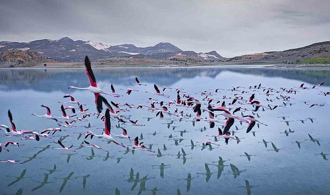 2 yıl önceye kadar flamingoları ağırlayan gölde şimdi sadece ayak izleri kaldı
