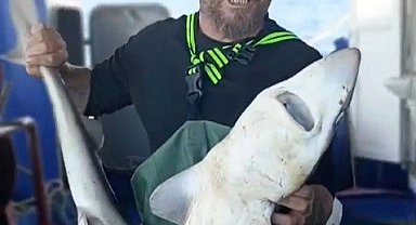 Ağa takılan köpekbalığı denize bırakıldı