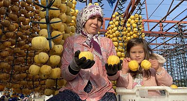 Alaşehir'de ilk kez 'Cennet Hurması Festivali' düzenlenecek