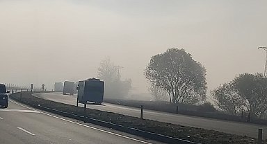 Bingöl'de sis etkili oldu