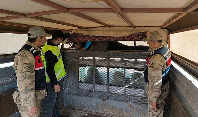 Bir ay içinde 28 düzensiz göçmen yakalandı