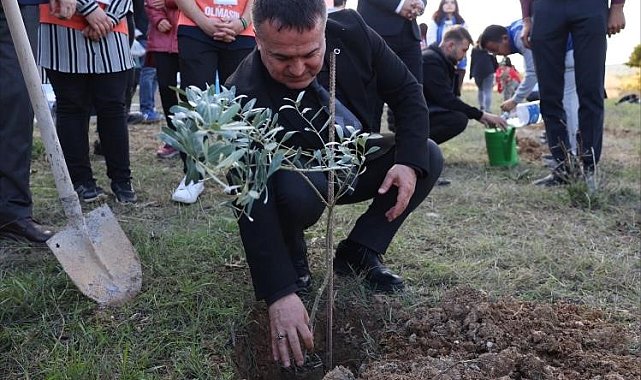 BŞEÜ'de zeytin fidanları toprakla buluştu