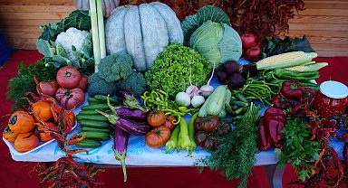 Edirneli üreticiler ata tohumundan ürettikleri ürünleri Millet Bahçesi'nde satışa sunuyor