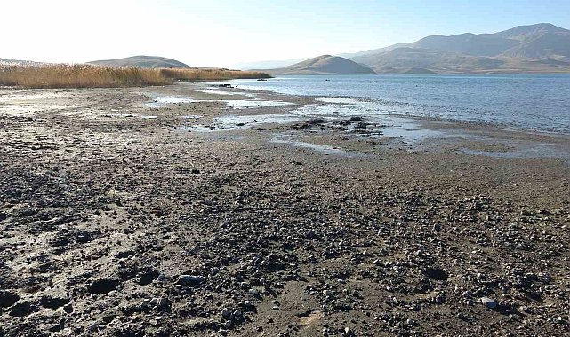 Erçek Gölü'nde su çekilince mikrobiyalitler ortaya çıktı