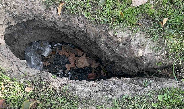 Isparta'da elma bahçelerinde yaklaşık 1 metrelik obruklar oluştu, bazı evlerin duvarları çatladı