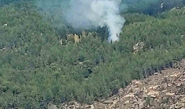 Kavaklıdere'de orman yangını