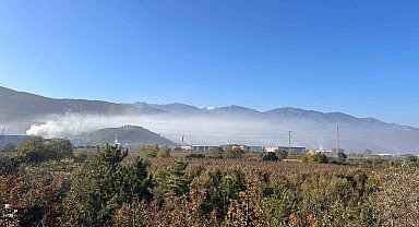 Kestel ve Gürsu'da çevre faciası: