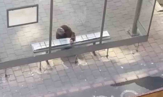 Mardin'de duyarlı vatandaş, yolcular üşümesin diye durağın oturma yerlerini halıyla kapladı