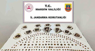 Mardin'de "Anadolu Mirası" operasyonunda 4 bin 897 sikke ele geçirildi