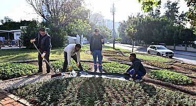 Muratpaşa'da Trafik Parkı çiçek bahçesine dönüştü