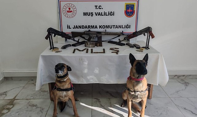 Muş'ta ruhsatsız 3 uzun namlulu silah ele geçirildi