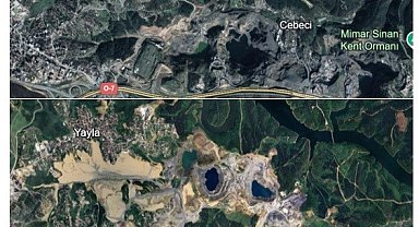 Orman alanlarının tahrip edildiği ve maden alanlarının zarar gördüğü fotoğraflarla gösterildi