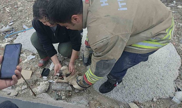 Rögarda mahsur kalan yavru köpeği itfaiye kurtardı