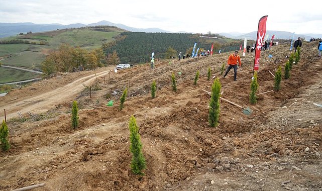 Samsun'da 11 Kasım Milli Ağaçlandırma Günü'nde 37 bin 380 fidan toprakla buluşacak