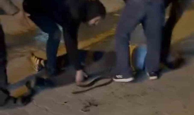 Şanlıurfa'da bıçaklı kavga: 3 yaralı