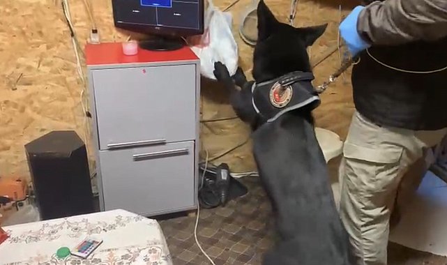 Bağ evindeki uyuşturucu düzeneğini 'Tony' ortaya çıkardı