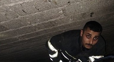 Havalandırma boşluğuna düşen yavru kediyi itfaiye kurtardı