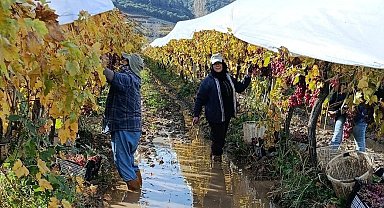 İşçiler yağmur ve çamuru aldırış etmeden üretime devam ediyor