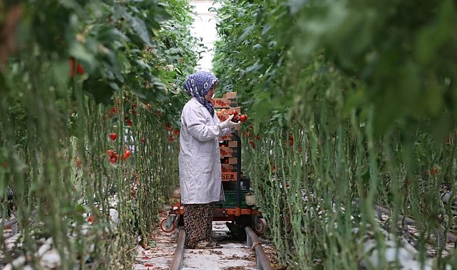 Jeotermal, 2025'te yatırım uykusundan uyandı