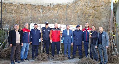 Köşklü üreticilere kestane fidanı dağıtıldı