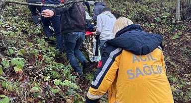 Otomobil ormanlık alana uçtu, 2 yaralı