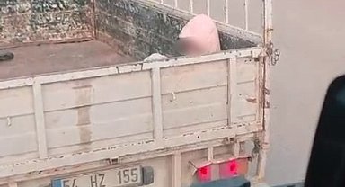 Soğuk havada yürek sızlatan yolculuk