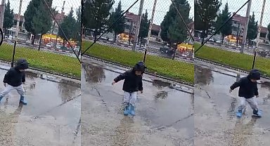 Tavşanlı'da orta refüjdeki ağaca çarpan otomobildeki 2 kişi yaralandı